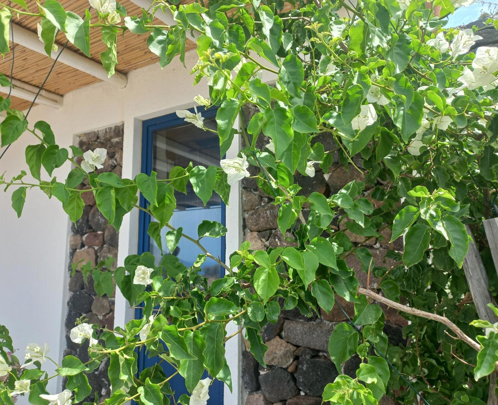 Villa La Casa Blu Deluxe